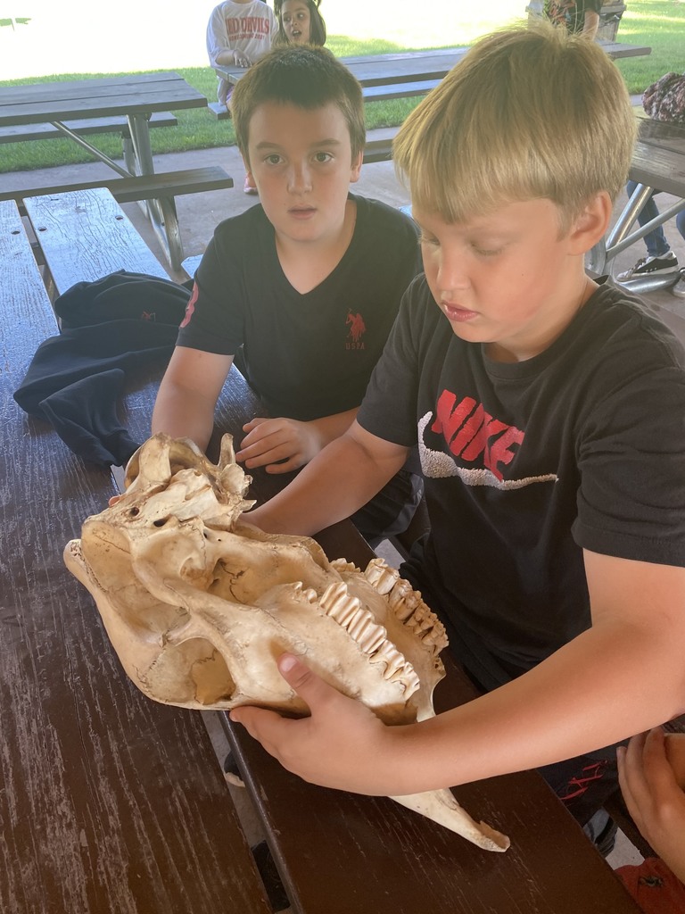 Two kids looking at an animal skull